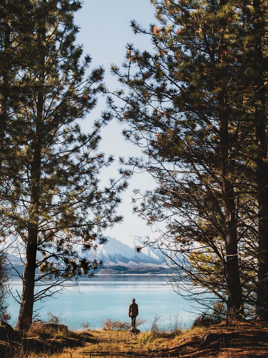 tree person standing beside body of water during day lake pukaki